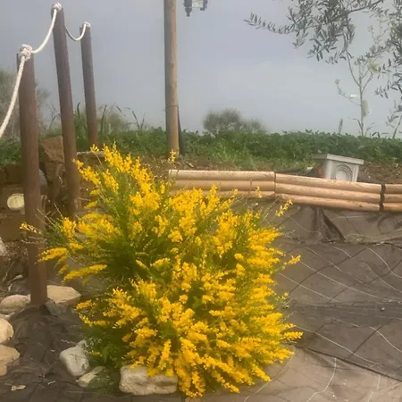 בית נופש Tenuta Di Carlo Cod Cir 068013cvp0001